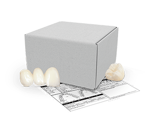 Send a Case Icon